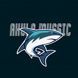 Akula Music 🦈