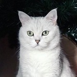 oblomoffspb | Неотсортированное