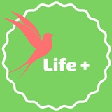 ylifeplus | Unsorted