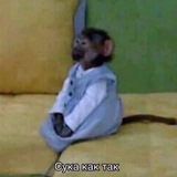 я упал в лужу