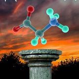 biochemestry_memes | Unsorted