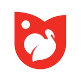 rusindeika | Неотсортированное