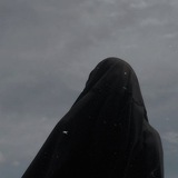 muslimahalkurdiyah | Unsorted