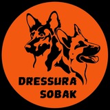 dressura_sobak | Неотсортированное