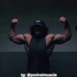 podvalmuscle | Unsorted