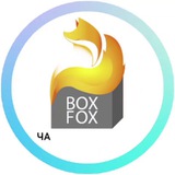 boxfox_chat | Unsorted