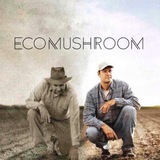 ecomushroom | Unsorted