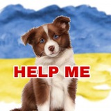 pets_share_kyiv | Unsorted