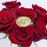 rosepremiumslgnai | Cryptocurrency