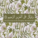 imamali255 | Unsorted