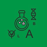 lab66 | Неотсортированное