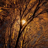 picturebookwalks | Unsorted