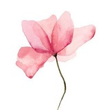 olalaflowerss | Неотсортированное