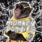 monkeypongifs | Unsorted