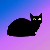 healthycatz | Unsorted