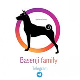 basenjifamily | Unsorted