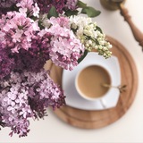 bloominghome | Unsorted