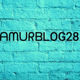 amurblog28 | Unsorted