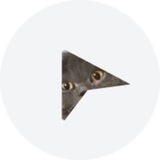 cursor_agency | Unsorted