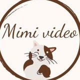 mimi_video | Неотсортированное