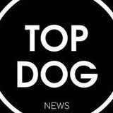 topdognews | Unsorted