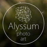 alyssum_channel | Unsorted