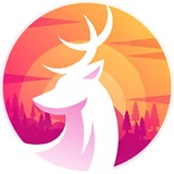 design_deer | Unsorted