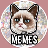 justmemes | Humor and Entertainment