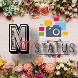 mtv_status | Unsorted