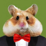 Crypto Hamster