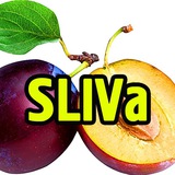 SLIVa - Канал слива складчин и приватных тем !!!