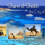 sharmelsheikh | Unsorted