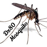 dx80mosquito | Unsorted