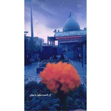 yahusainmdd | Unsorted