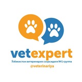 veterinariya | Unsorted