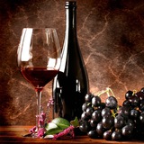 vinodelie | Неотсортированное