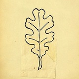 go_genealogy | Неотсортированное