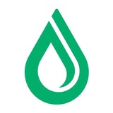 dropsearn | Неотсортированное