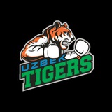 Uzbek Tigers [Boxing]