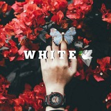 whitenes | Unsorted