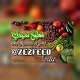 zezfeed | Unsorted