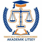 Yuridik akademik litsey