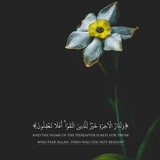 allaah313 | Unsorted