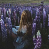 a_wss | Unsorted