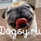 dogsy | Неотсортированное