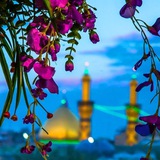 karbala | Unsorted