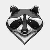 Frontend Raccoon