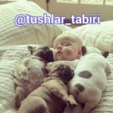 tushlar_tabiri | Unsorted