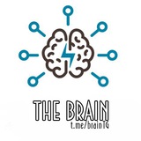 The Brain