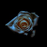polaris_77 | Unsorted